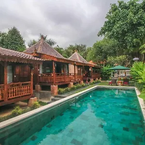 ari-cottages-ubud.ubudhotelsnow.com/